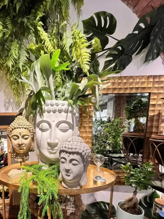 Composizione di piante in vaso decorativo